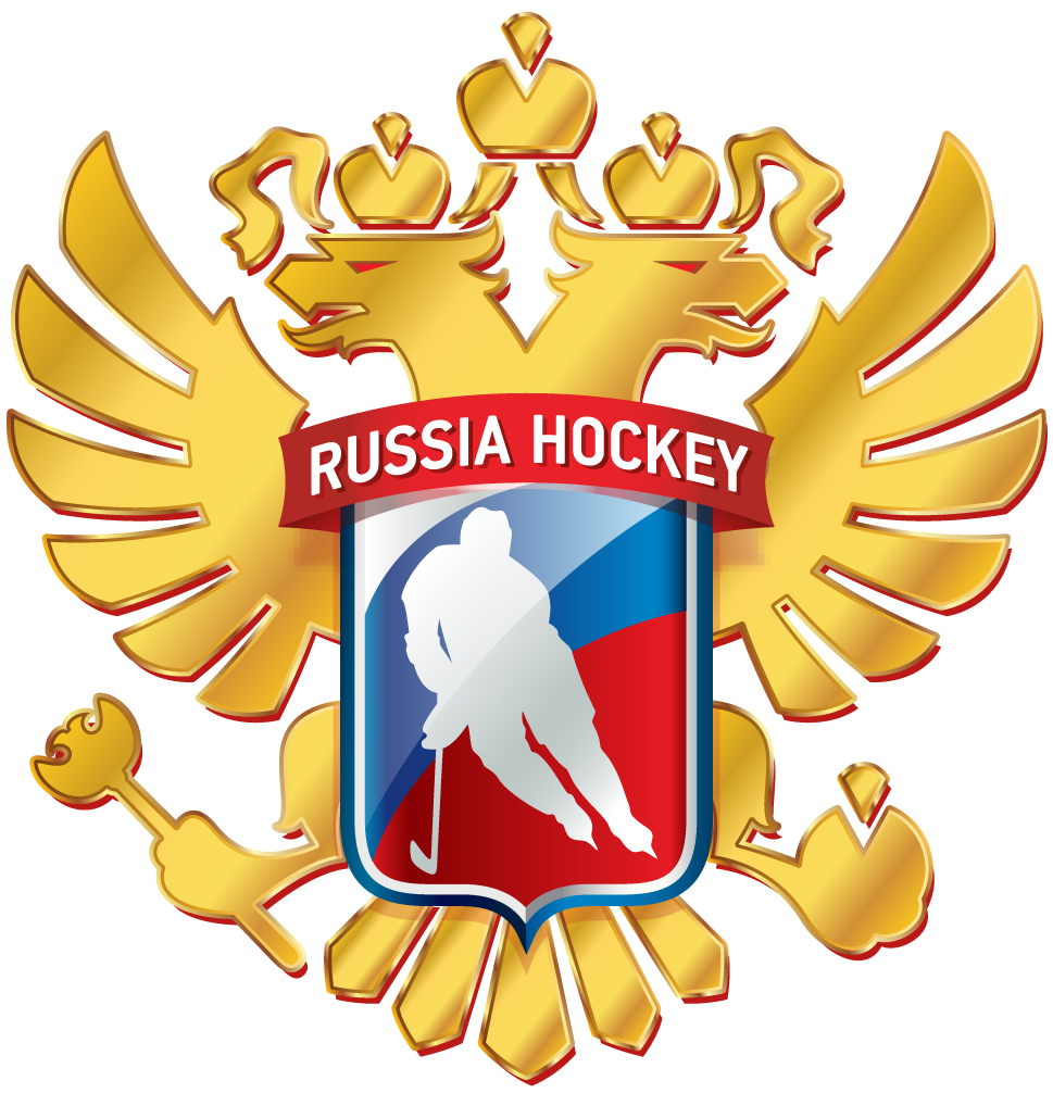 Russia 2016-Pres Alternate Logo v2 iron on transfers for T-shirts